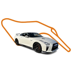 LEDENON STAGE DE PILOTAGE NISSAN GTR PISTE CLUB<br>