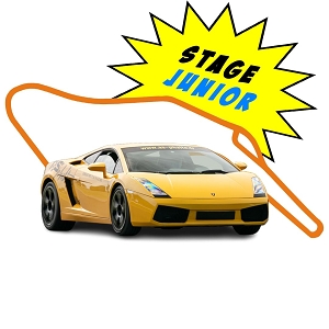 LEDENON LAMBORGHINI GALLARDO A PARTIR DE 14 ANS<br>