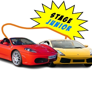 LEDENON DUO FERRARI ET LAMBORGHINI A PARTIR DE 14 ANS<br>