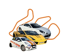 LEDENON STAGE DE PILOTAGE DUO VOLANTALPINE A110 ET LAMBORGHINI GALLARDO ET BAPTEME 208 PISTE COMPETITION<br>