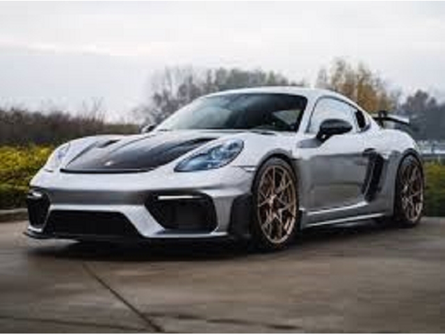 stage de pilotage porsche gt4 piste competition 1010101_2